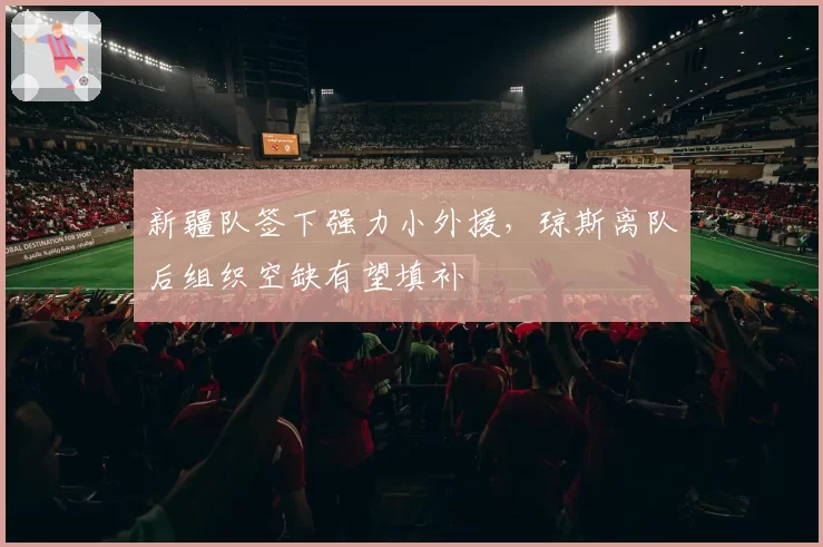 新疆队签下强力小外援，琼斯离队后组织空缺有望填补