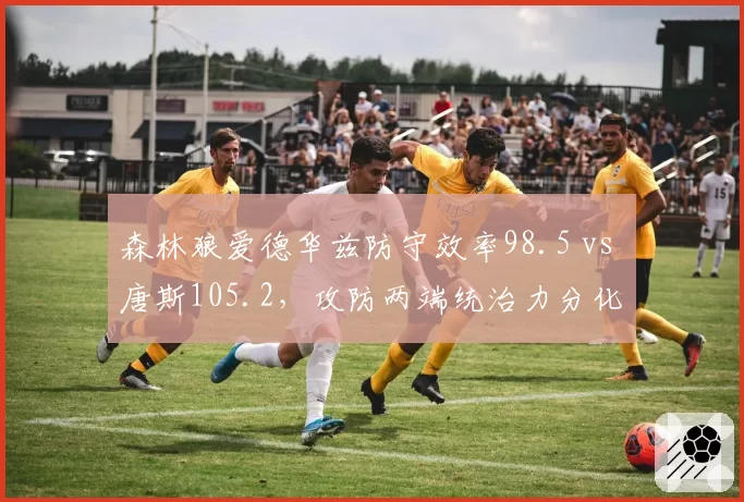 森林狼爱德华兹防守效率98.5 vs 唐斯105.2，攻防两端统治力分化
